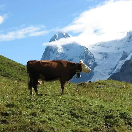 Your In Near The Slopes And Hiking Trails