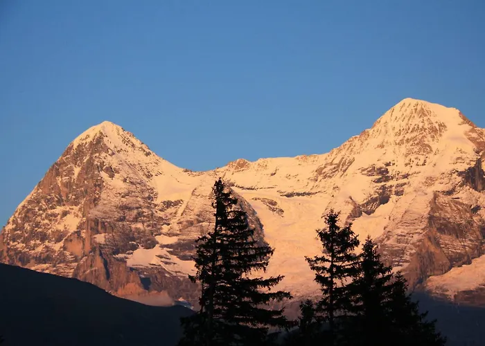 Lejlighed Your In Near The Slopes And Hiking Trails