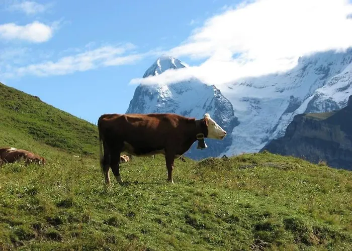 Your In Near The Slopes And Hiking Trails