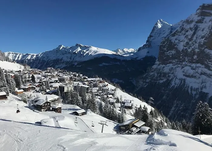 Your In Near The Slopes And Hiking Trails