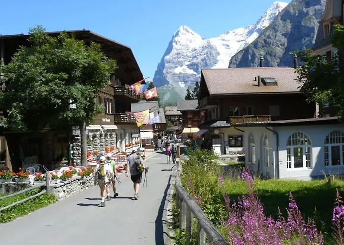 Your In Near The Slopes And Hiking Trails Lejlighed