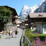 Your In Near The Slopes And Hiking Trails Apartment