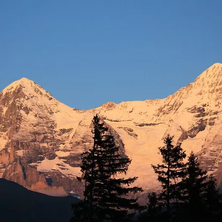 Appartamento Your In Near The Slopes And Hiking Trails