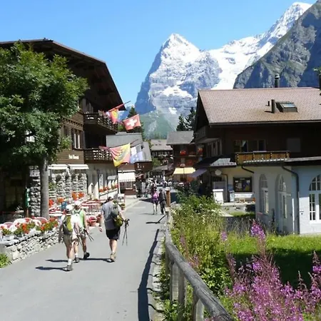 Your In Near The Slopes And Hiking Trails Lejlighed